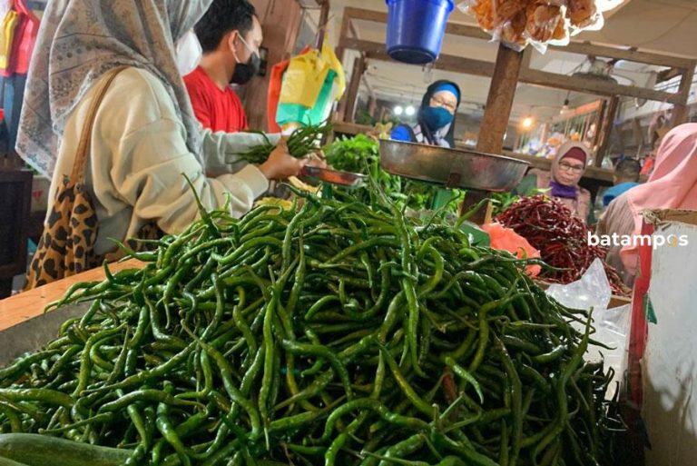 Harga Cabai di Tanjungpinang Kembali Naik