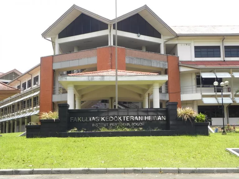 10 Fakultas Kedokteran Terbaik di Indonesia Versi EduRank