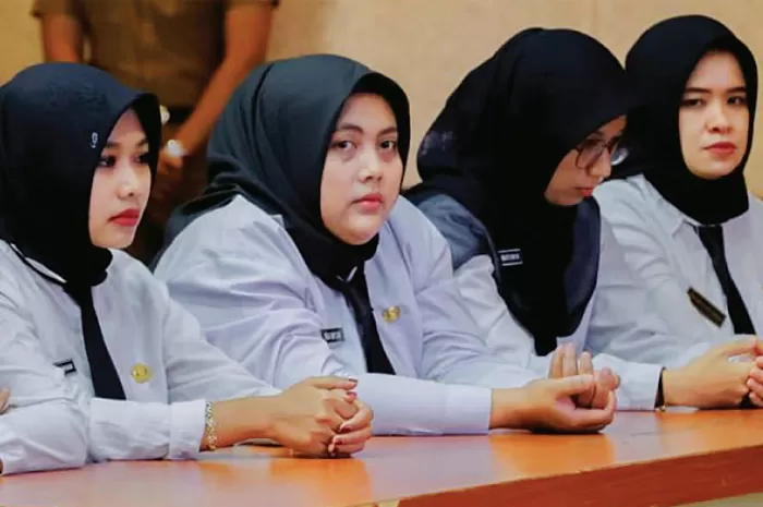 Angin Segar, Pemerintah Bakal Revisi UU ASN, PPPK Bisa Mendapat Jaminan Pensiun