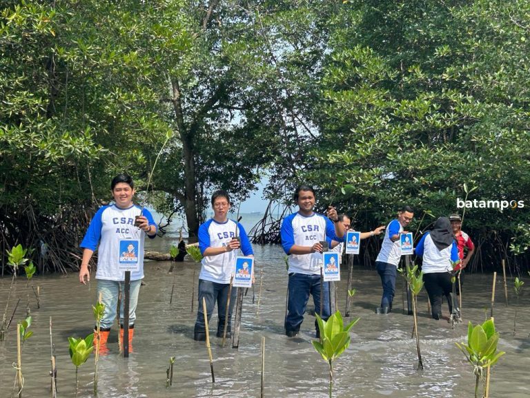 Jaga Pesisir Batam, Perusahaan Pembiayaan Astra (ACC) Tanam 1000 Mangrove