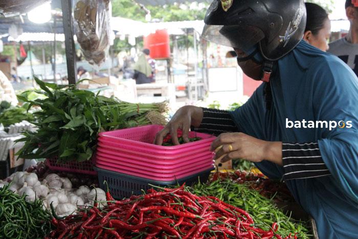 Harga Cabai dan Ikan Melonjak di Batam, Ibu-ibu Ngeluh