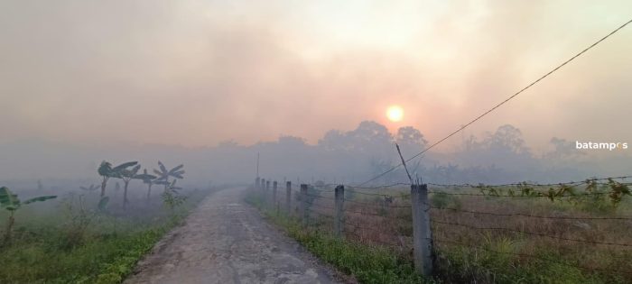 Hutan dan Kebun Warga di Kundur Terbakar