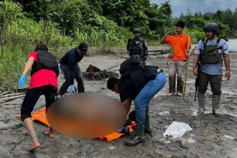 TNI Tembak Mati 5 Anggota KKB Papua, Sita Amunisi hingga Senjata Tajam