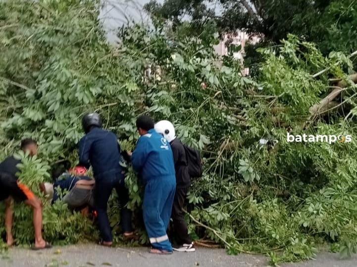 Angin Kencang, Pohon Tumbang Timpa 4 Pengendara di Jalan Adi Sucipto
