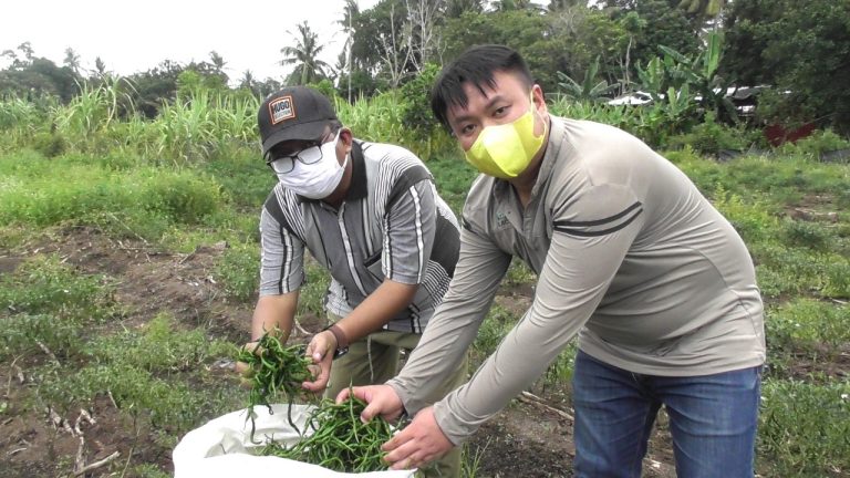 Stabilkan Harga, Dinas Pertanian dan Pangan Karimun Salurkan Beras SPHP