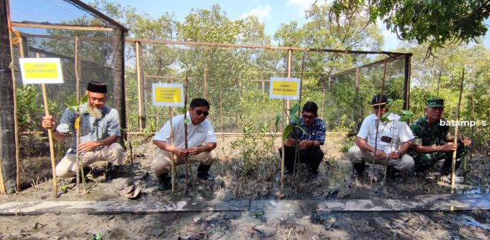 Gerakan Penghijauan PT Timah Tbk Bersama Masyarakat, Nelayan Sawang Laut Tanam Seribu Mangrove