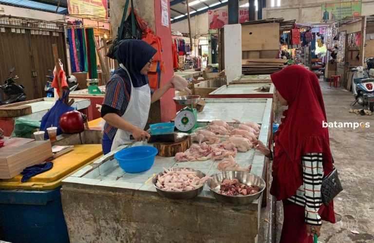 Sempat Turun, Harga Ayam Potong Kembali Naik