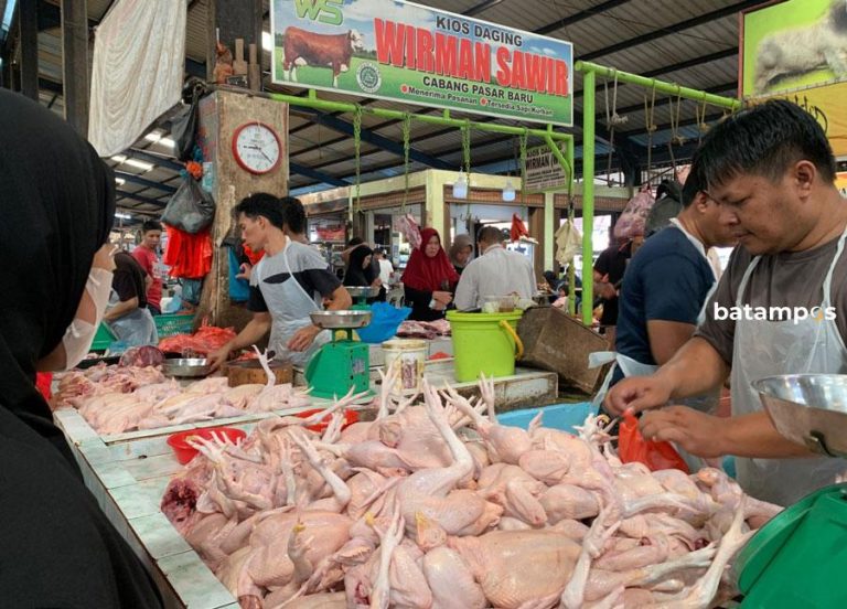 Harga Ayam Potong Makin Mahal, Rp 45 Ribu per Kilo