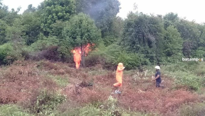 Dua Orang Warga di Tanjunguban Disengat Tawon Vespa