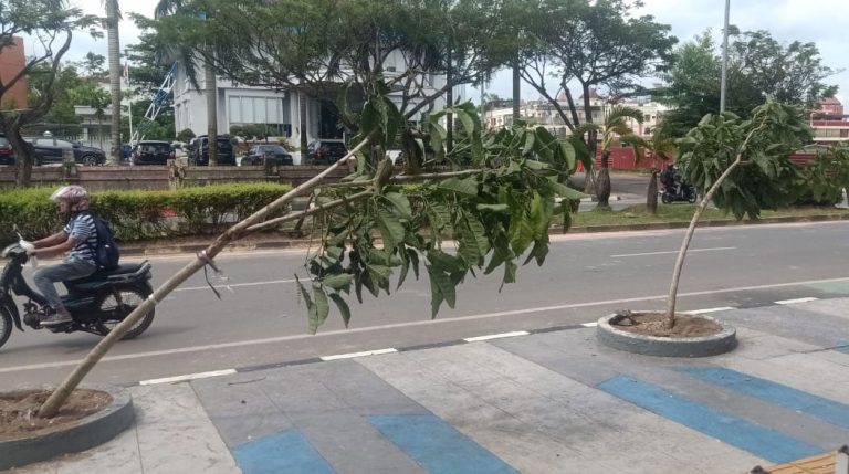 Tanaman di Pedestrian Batam Center Rusak, BP Batam Ajak Masyarakat Menjaga Fasilitas Umum