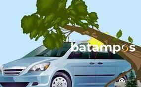 Pemotor Tewas Tertimpa Pohon di Batuaji
