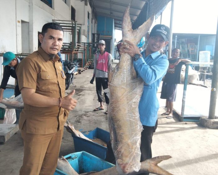 Karimun Miliki 2 Pelabuhan Perikanan