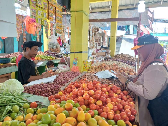 Data Pelaku Koperasi dan UMKM, BPS Turunkan 213 Tenaga Sensus