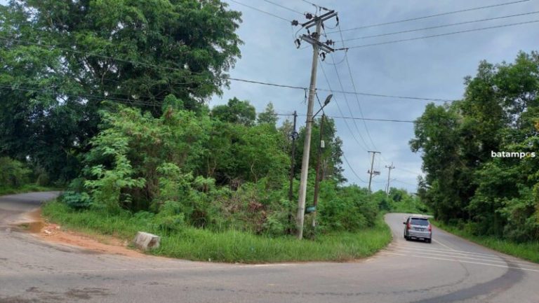 Pemkab Telat Bayar Listrik, Lampu PJU di Bintan Diputus