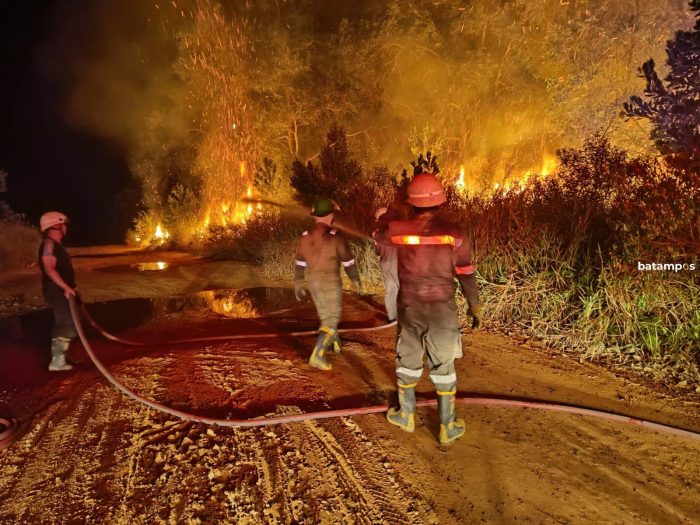 Dua Hari Berturut-  turut Terjadi Kebakaran, Damkar Tanjunguban Tangani 4 Titik Kebakaran