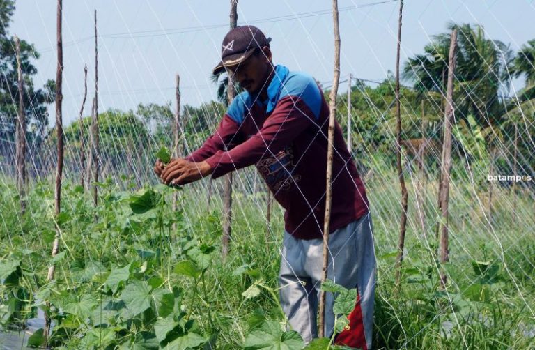 Apapun Pekerjaanya, BPJS TK Solusinya