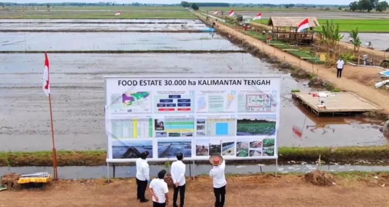 Kerugian Negara Capai Rp 6 Triliun, NCW Harap Prabowo Subianto Mundur Capres 2024
