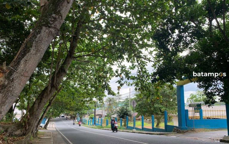 Pj Wali Kota Minta Disperkim Atur Strategi Pangkas Pohon Besar di Pinggir Jalan