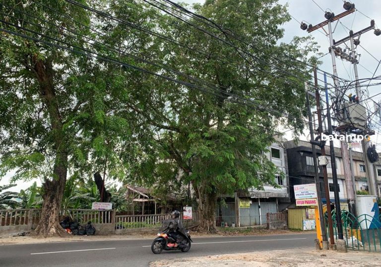 Pemko Tanjungpinang Minta Vendor Utilitas Benahi Kabel Semrawut