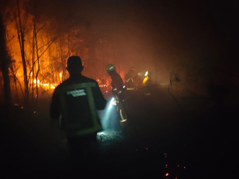 Selama Oktober 2023, Sudah 28 Kejadian Kebakaran di Bintan