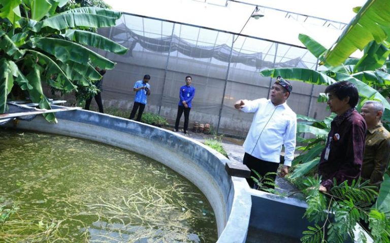 Wamendes Paiman Ajak Masyarakat Investasi Saham di BUMDesa