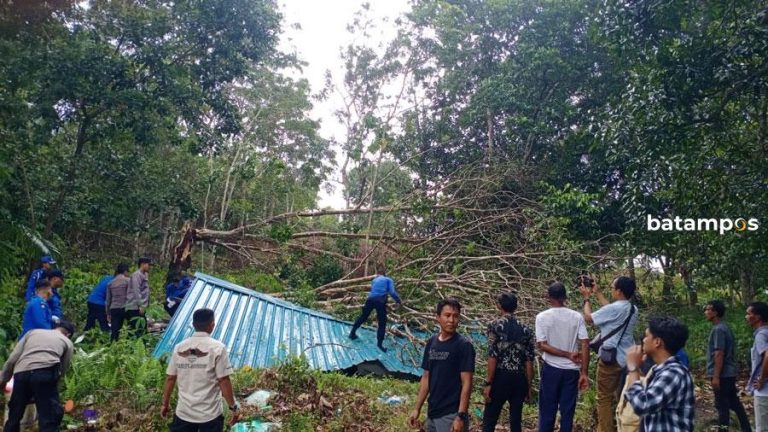 Tertimpa Pohon Tumbang, Rumah Anna di Sembulang Rata Tanah