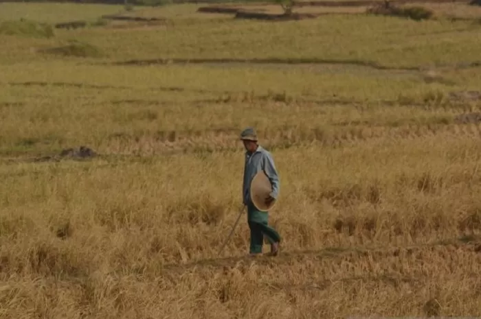 18 Kabupaten/Kota di Jatim Alami Kekeringan