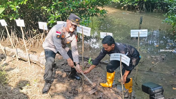 Humas Polda Kepri Tanam 201 Bibit Mangrove di Tanjungpiayu.