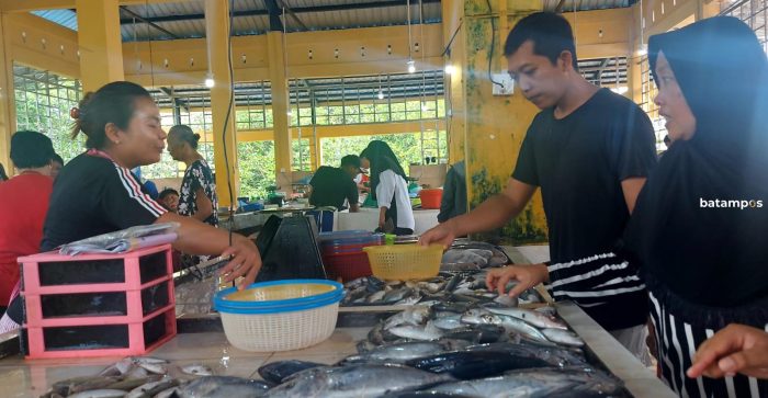 Harga  Ikan di Pasar Baru, Tanjunguban mulai Naik 