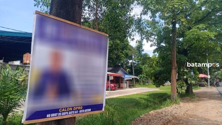 Bertengger di Batang Pohon Penghijauan, Bawaslu Akan Tegur Panggil Pemilik Alat Peraga Kampanye