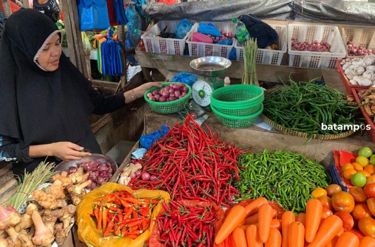 Pemko Tanjungpinang Wacana Akan Subsidi Pengiriman Komoditas Pertanian dari Daerah Penghasil
