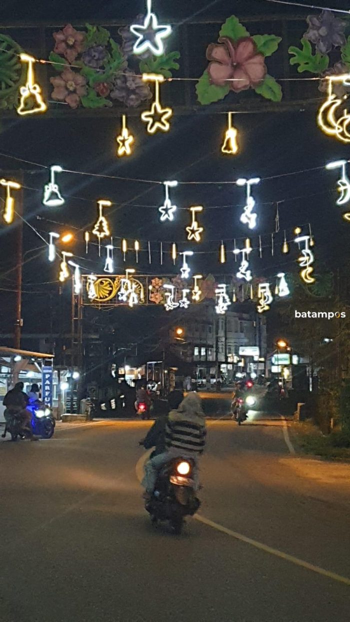 Dewan Soroti Pemasangan Lampu Hias di Bintan