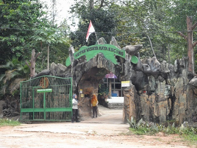 BKSDA: Tidak Ada Satwa yang Dilindungi di Hutan Wisata Mata Kucing