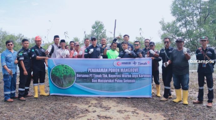 Jaga Ekosistem Pesisir, PT Timah Tbk Tanam 12.000 Bibit Mangrove di Pesisir Pantai Kundur
