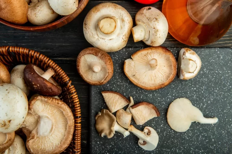 7 Manfaat Jamur untuk Kesehatan Jantung hingga Otak