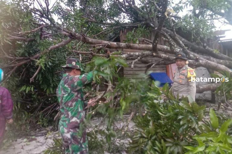 Cuaca Ekstrem, Pohon Tumbang, Rumah Rusak dan Air Sungai Meluap