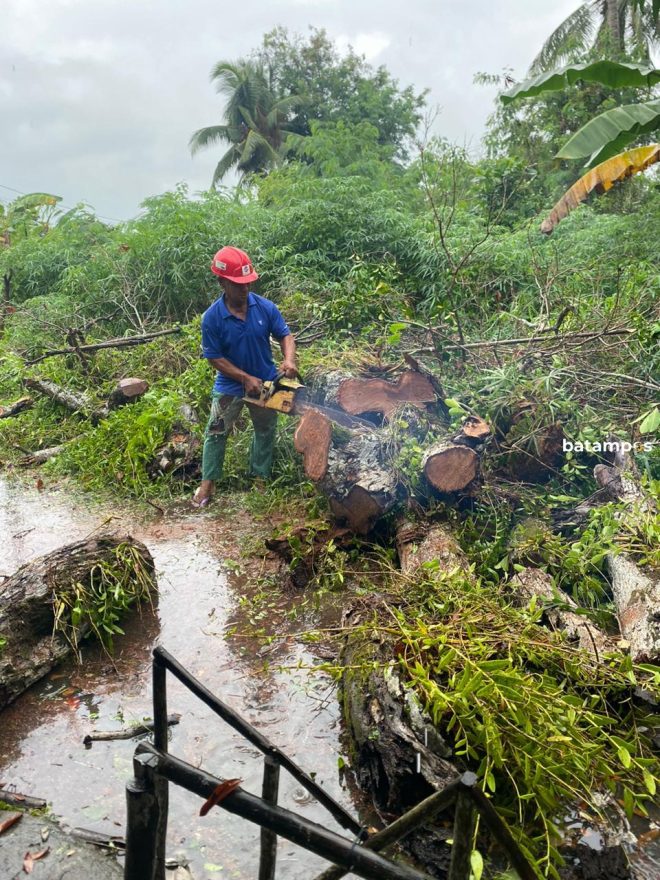 Pohon Tumbang Timpa Rumah Warga di Kampung Tanjungtalok, Desa Teluk Sasah, Bintan