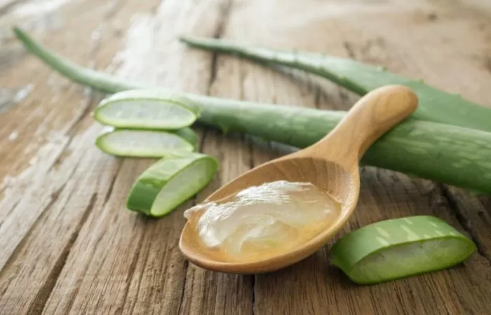 Lidah Buaya Bisa Turunkan Kadar Gula Darah