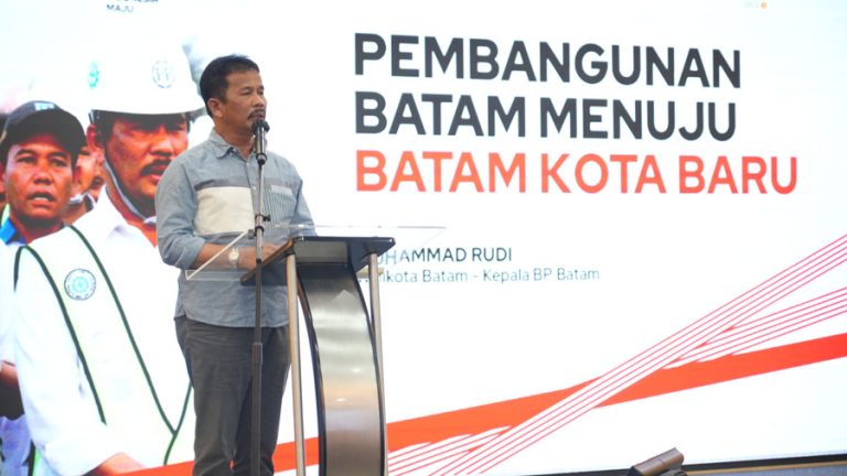 Komitmen BP Batam Tingkatkan Realisasi Investasi Asing
