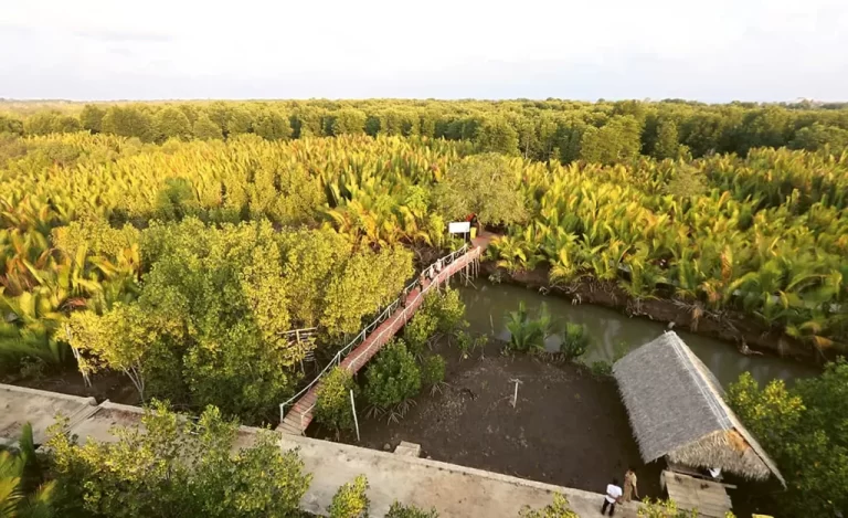 Selamatkan 43 Hektare Pesisir Pantai Bawean lewat Konservasi Mangrove