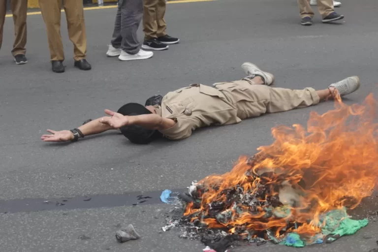 Kericuhan Aksi APDESI di DPR, Kapolda Sebut Sudah Dipersiapkan