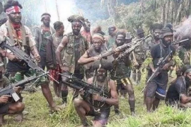 Satu Anggota TNI di Papua Gugur Ditembak KKB