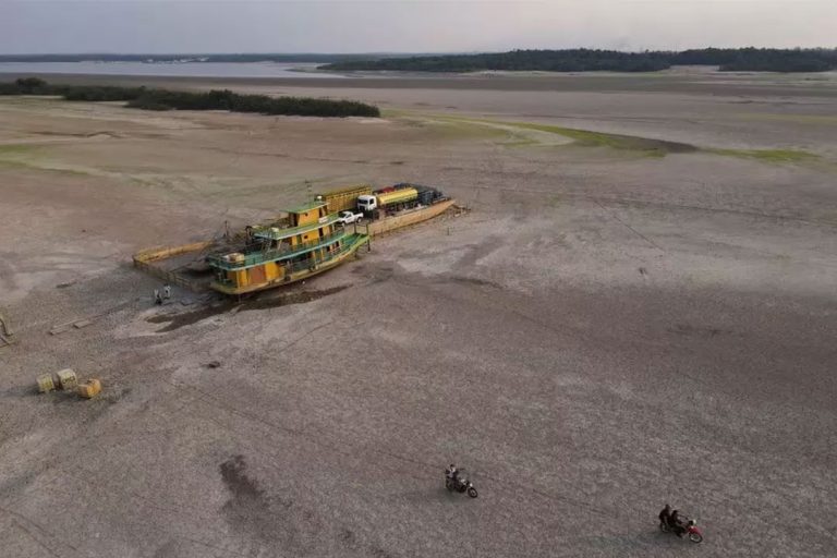 Brasil akan Reboisasi Hutan Amazon