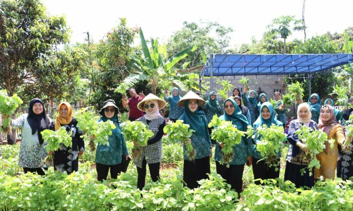 Hafizha Panen Sayur di Kebun Dasa Wisma Nila