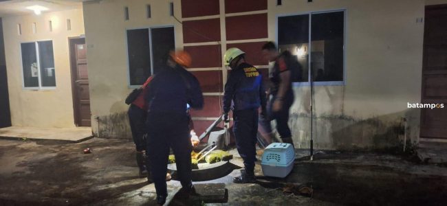 Pemadam Selamatkan Kucing yang Jatuh ke Sumur Sedalam 10 Meter di Perumahan Anggrek Bintan