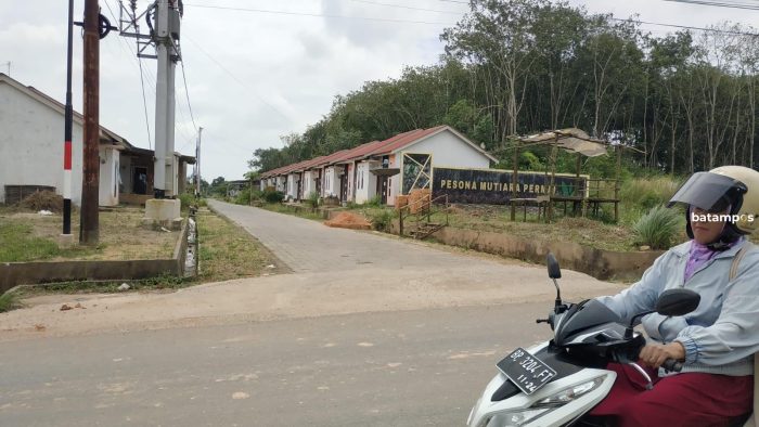 Ada 59 Perumahan di Bintan, Baru 1 Perumahan yang Serahkan Aset Fasum ke Pemkab