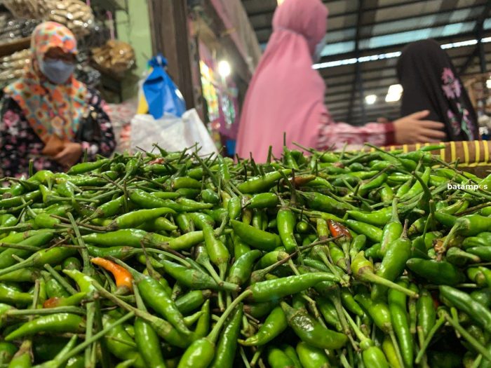 Harga Cabai mulai Naik