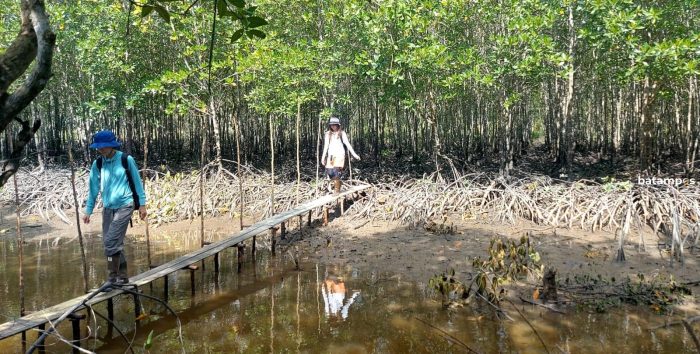 PWI Kepri dan Pecinta Mangrove Indonesia Jepang Tanam Bibit Mangrove di Sungai Tiram, Bintan