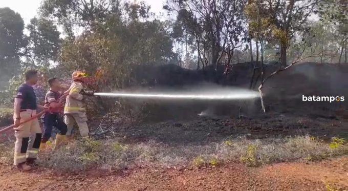Sehari, Lahan di Dompak dan Bukit Bestari Terbakar