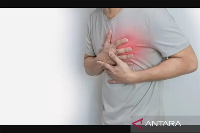 Penyakit Jantung jadi Penyebab Kematian Terbanyak Petugas Pemilu